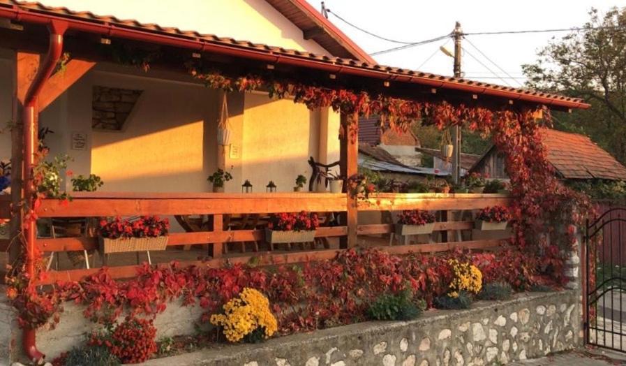 Casa De Vacanta Potoc Ngoại thất bức ảnh